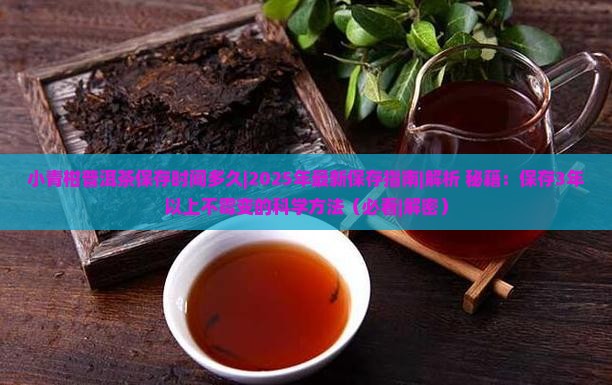 小青柑普洱茶保存时间多久