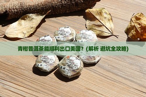 青柑普洱茶能去美国吗