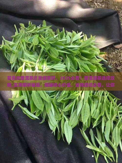 茶喜欢普洱茶还是绿茶好
