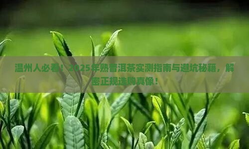 温州正规的熟普洱茶