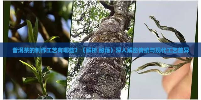 普洱茶用的什么工艺