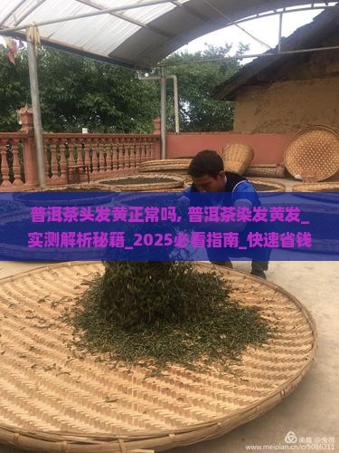 普洱茶头发黄正常吗