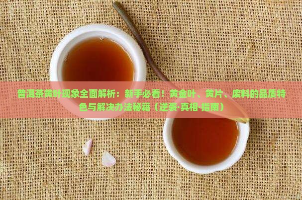 普洱茶黄叶的原因