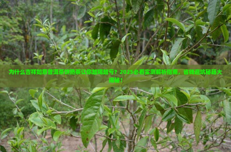 吉祥如意普洱茶饼熟茶
