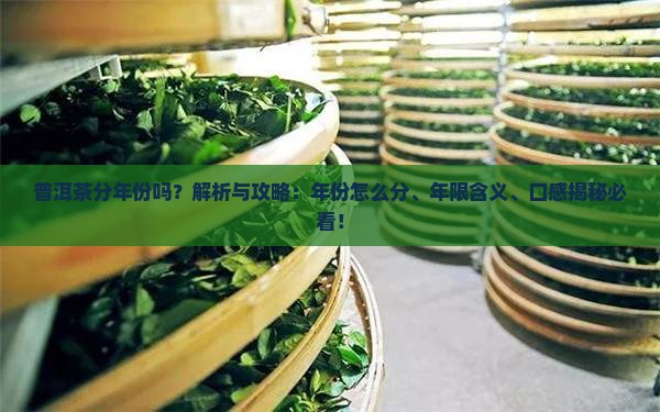 普洱茶分年份吗