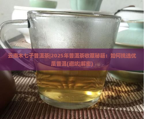 云南木七子普洱茶