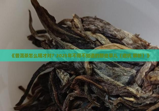 讲讲普洱茶的知识