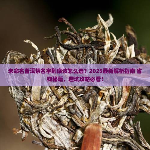 未命名普洱茶名字