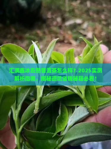 汇满鑫冰岛熟普洱茶怎么样