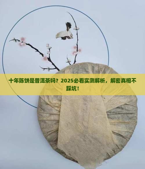 十年茶饼是普饵茶吗