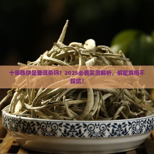 十年茶饼是普饵茶吗