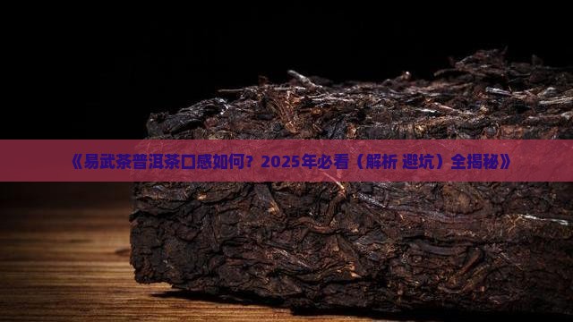 易武茶普洱茶怎么样 易武茶普洱茶怎么样