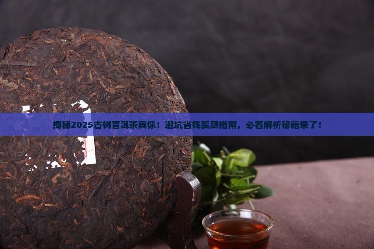 甄别古树普洱茶