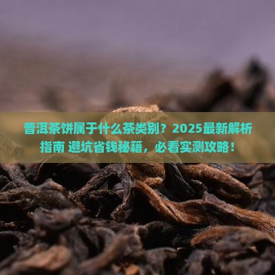 普洱茶饼属于什么茶类别