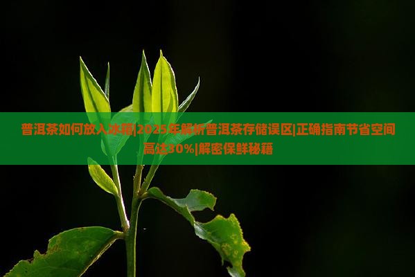 普洱茶如何放入冰箱