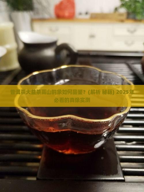 普洱茶大益茶高山韵象