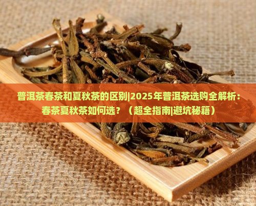 普洱茶春茶和夏秋茶的区别