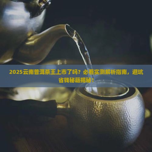 云南普洱茶王上市了吗
