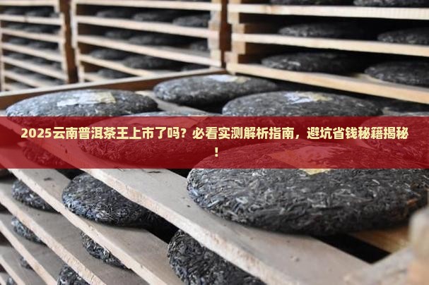 云南普洱茶王上市了吗
