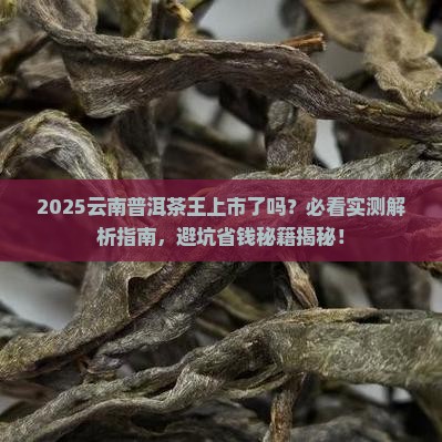云南普洱茶王上市了吗