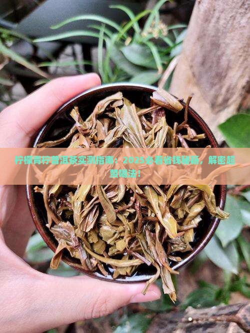 柠檬青柠普洱茶