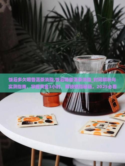 饭后多久喝普洱茶消脂