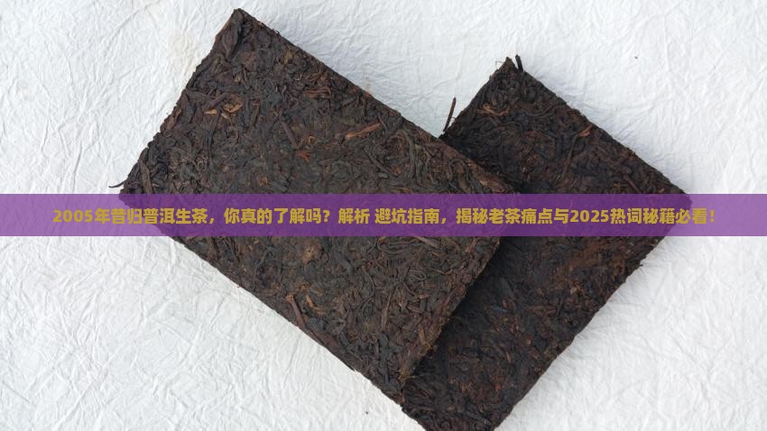 2005年昔归普洱生茶