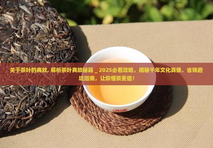 关于茶叶的典故