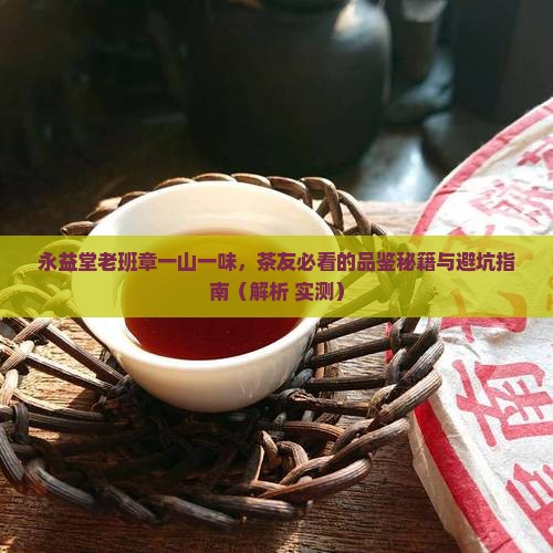 永益堂老班章一山一味
