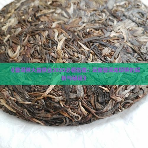 昆明市普洱茶2012产