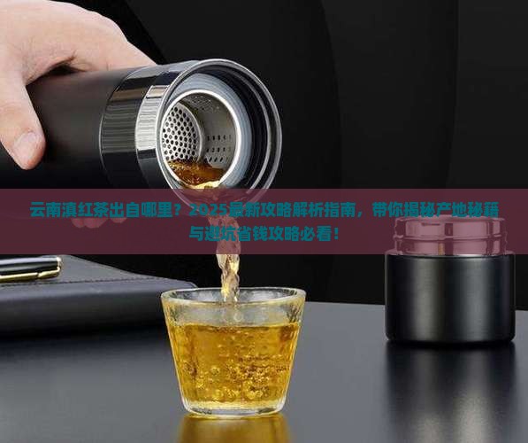 云南滇红茶出自哪里