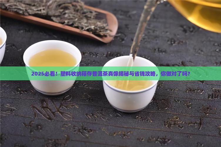塑料购买纳箱存普洱茶 塑料购买纳箱存普洱茶