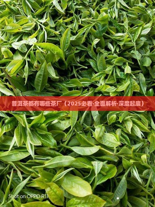 普洱茶都有哪些茶厂