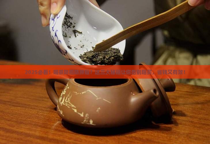喝什么茶叶防癌防肿瘤