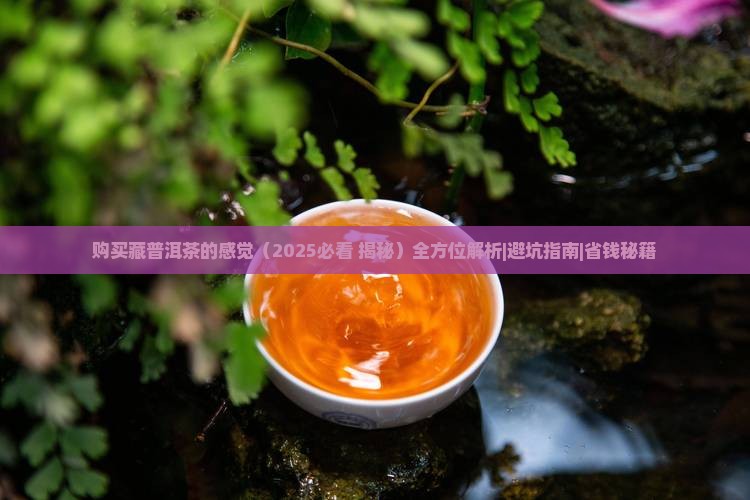 购买藏普洱茶的感觉