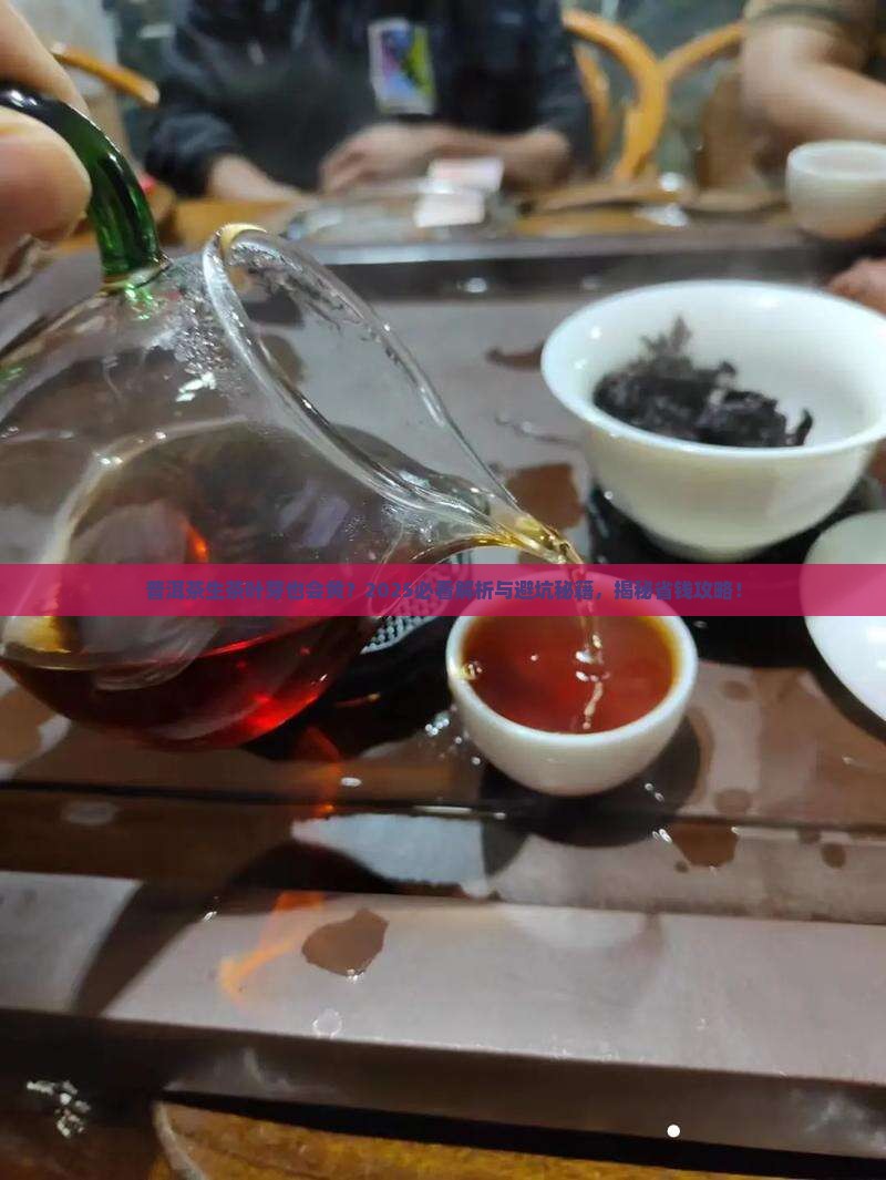 普洱茶生茶叶芽也会黄