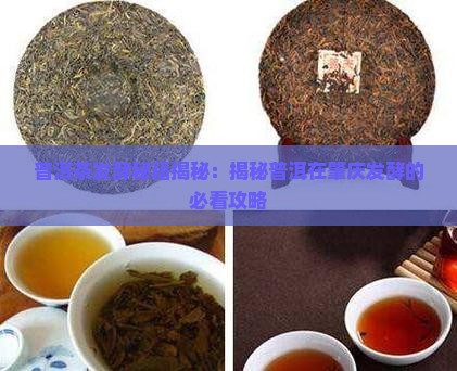 熟普洱茶为什么在肇庆发酵