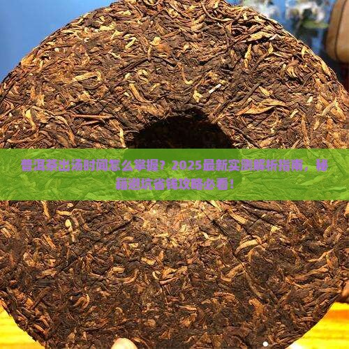 普洱茶出汤的时间