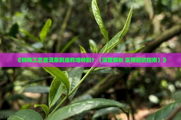 特殊工艺普洱茶特点是什么