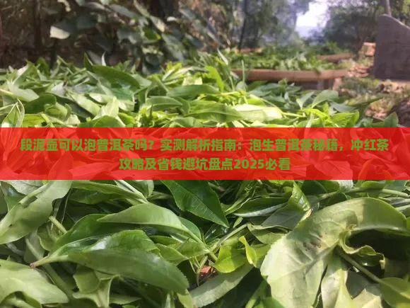 段泥壶可以泡普洱茶吗