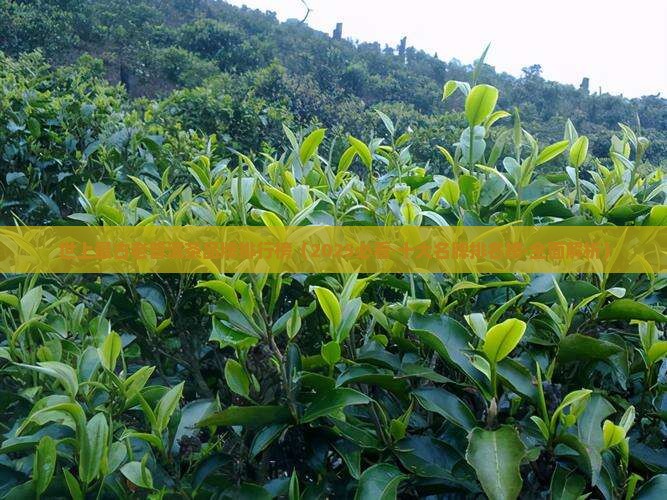 世上最古老普洱茶品牌排行榜