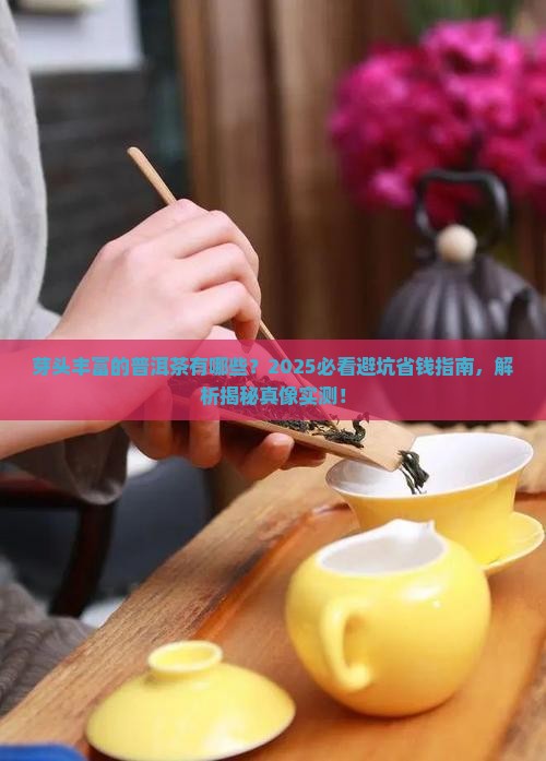 芽头丰富的普洱茶有哪些