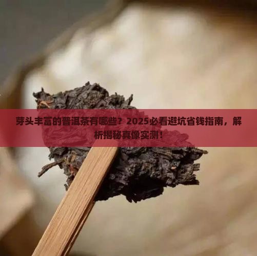 芽头丰富的普洱茶有哪些