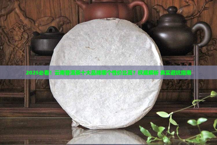 哪个厂普洱茶性价比好点