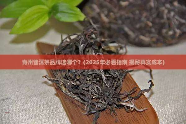青州普洱茶品牌