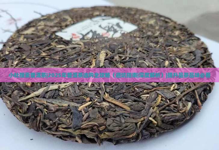小杜搜索普洱茶