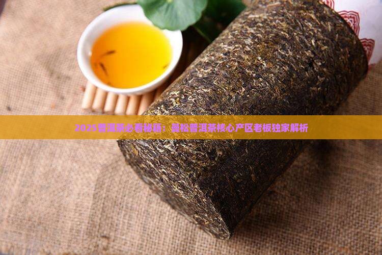 云南普洱茶曼松老板