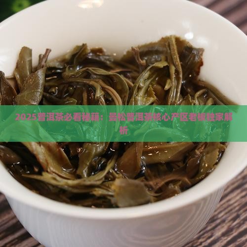 云南普洱茶曼松老板