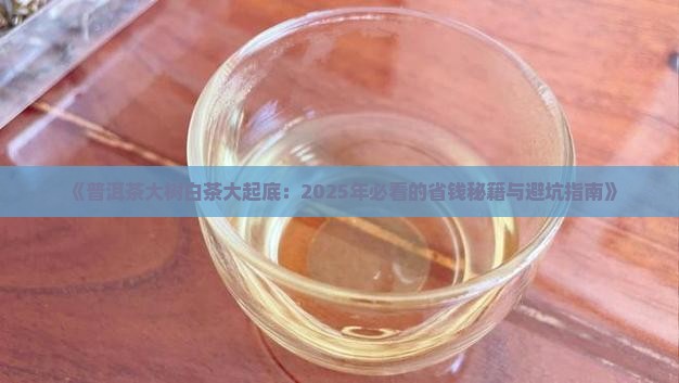 普洱茶大树白茶