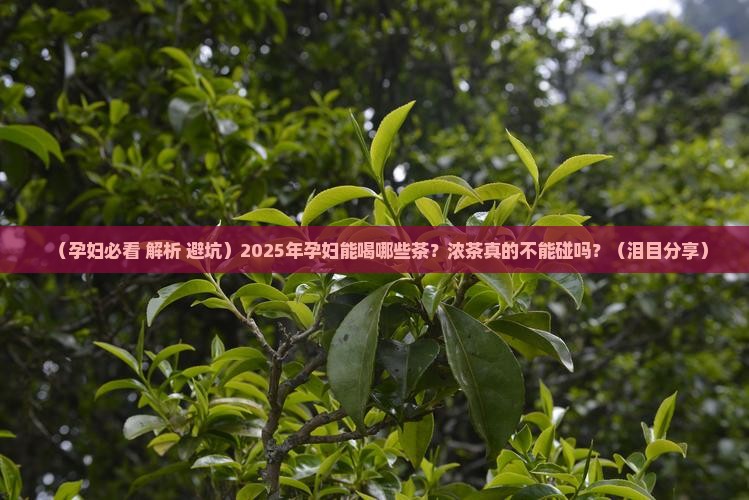 孕妇能喝哪些茶孕妇可以喝浓茶吗